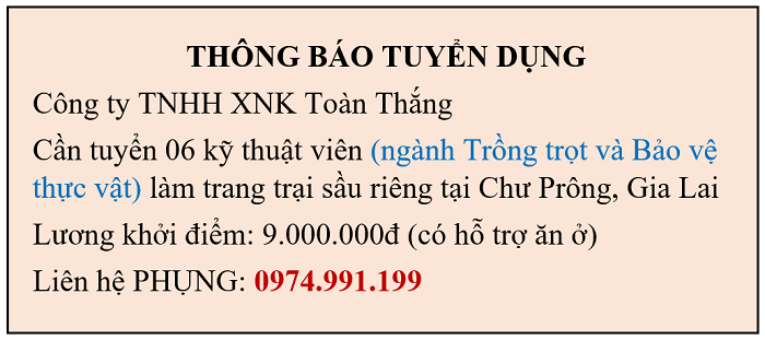 Thông báo tuyển dụng kỹ thuật viên làm trang trại sầu riêng tại Gia Lai